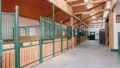 Pferdeboxen/Stallgasse